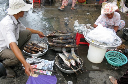 Dịch vụ nướng cá lóc mọc lên hàng loạt, tràn ra ngoài đường để nướng với giá mỗi con 5.000-10.000 đồng, tùy kích cỡ.